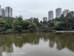 -龙头寺公园
