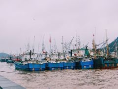 -沈家门渔港