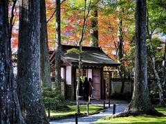 -三千院