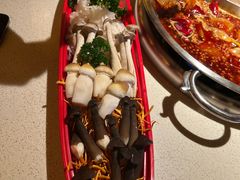 -小龙坎火锅(春熙太古里店)
