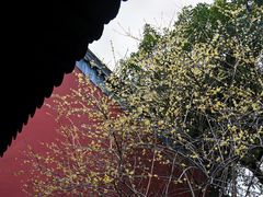 -钱王祠