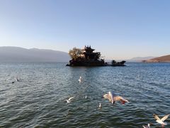 -小普陀