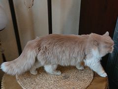 -一盃山水咖啡茶馆