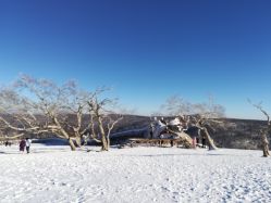 -大秃顶子山