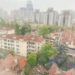 -海豚湾高端月子会所(黄浦店)