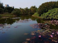 -白沙门生态公园