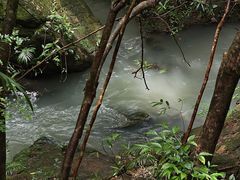 -广州白江湖森林公园