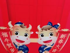 -麦德龙(郑东店)