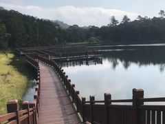 -海南热带雨林国家公园吊罗山景区