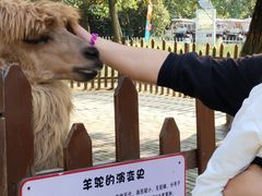 -西安秦岭野生动物园