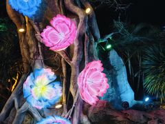 -三亚红色娘子军演艺公园景区