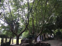 -南通博物苑-崇川人民公园