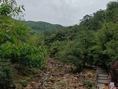 -广州白江湖森林公园