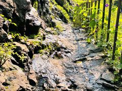 -云岫谷游猎自然风景区