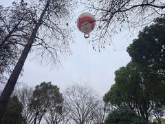 -东湖生态旅游风景区