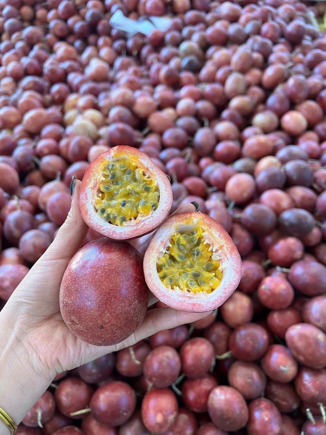 高山紫香一号百香果