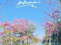 -广州国际生物岛