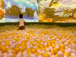 -宝燕乐园(闵行旗舰店)