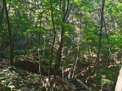-大连天门山国家森林公园
