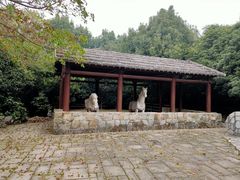 -白马涧龙池景区