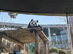 -大连森林动物园