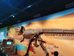 -北京科学中心儿童乐园