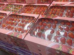 -麦德龙(浦东店)