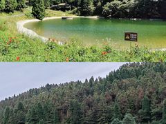 -武陵山森林公园