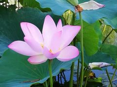 -北京国家会计学院