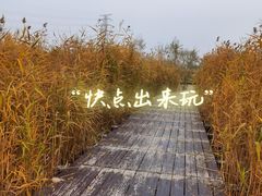 -永定河休闲森林公园