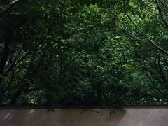 -郑州植物园