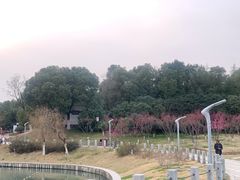 -合肥大剧院