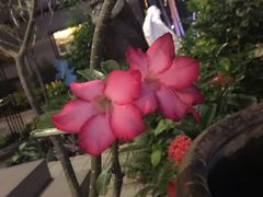 -默迹咖啡馆