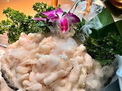 -淘米捞·米汤脆鲩鱼火锅(福田皇岗店)