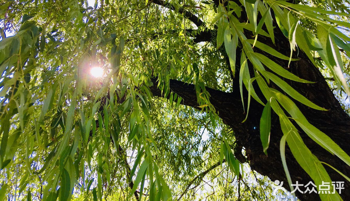 31-20摄氏度，吹着风温度还超级舒服