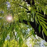 31-20摄氏度，吹着风温度还超级舒服