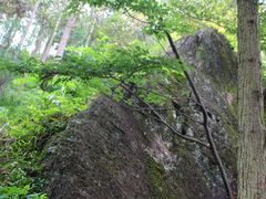 -东天目山风景区