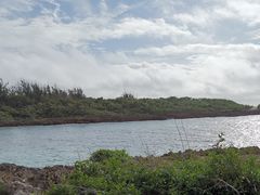 -上野德国文化村