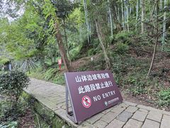 -上海佘山国家森林公园天马山园