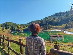 -武陵山森林公园