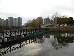-新江湾城公园