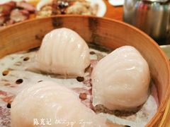 -澳门陈光记烧味饭店(南京德基广场店)