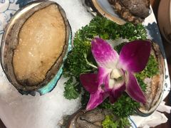 鲍鱼-捞围鲜·港式打边炉(海阳路店)