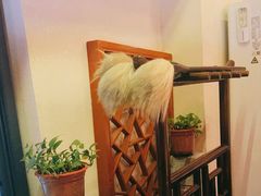 -探花·意境江南菜·唐伯虎文化体验店·松鼠桂鱼(观前店)