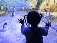 -成都浩海立方海洋公园