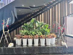 -飨食汇全日制餐厅·昆山皇冠假日酒店(九方店)