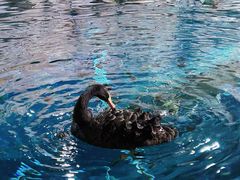 -上海海洋水族馆