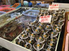 -大湾区中央湿地公园-十九涌
