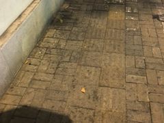 -樹下遇见树·咖啡
