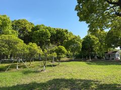 -江滩湿地公园